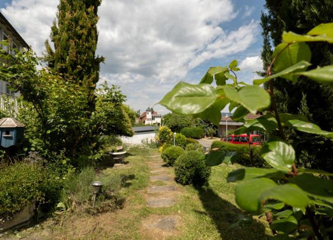 Gartenbereich Vorderseite Ansicht